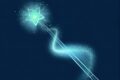 WILL THE FAIRY GODMOTHER’S SPRING DAY COME? - CAPITOLO 1